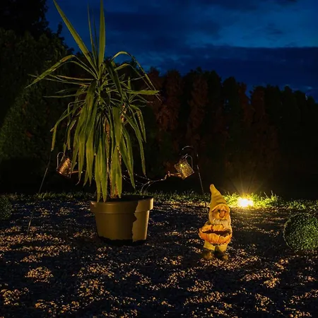 Ehm Elegantes Design Zwischen Linz&wels