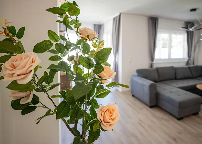 Ehm Elegantes Design Zwischen Linz&wels